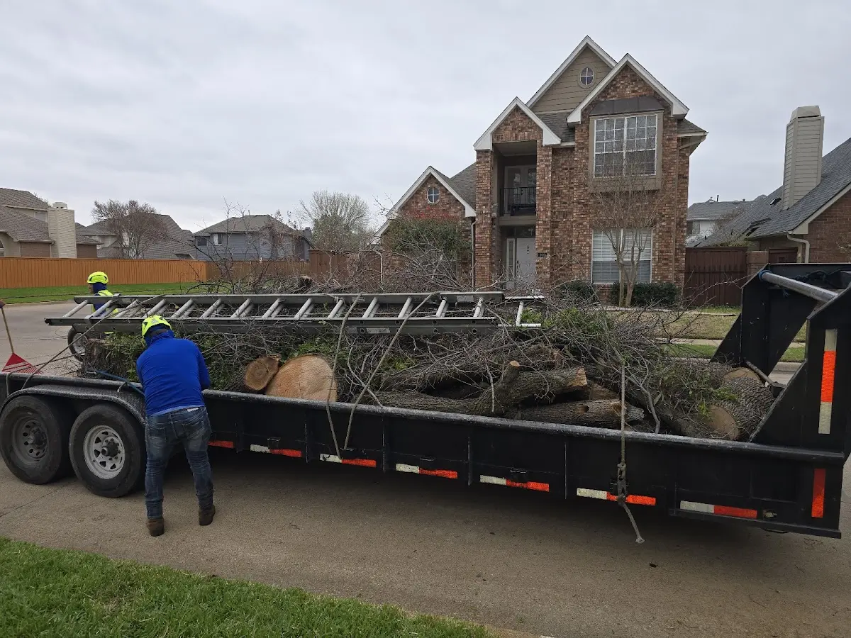 Expert Tree Pest Control with proper safety equipment in Waterville